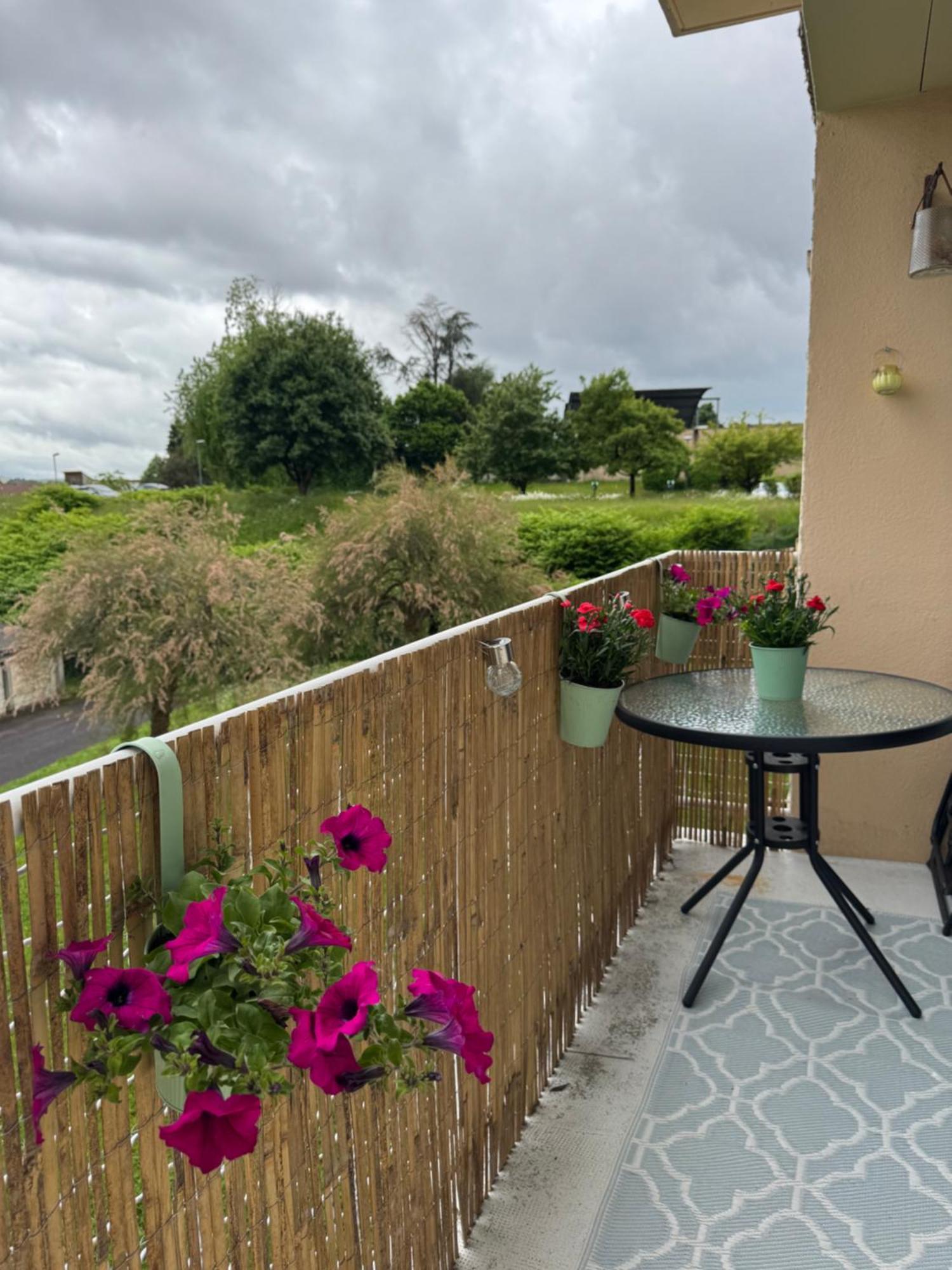 Appartement Chaleureux Et Spacieux T3 Limoges Eksteriør billede